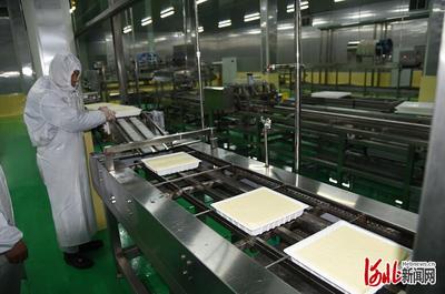 河北欒城:小黃豆做成大產業 豆制品加工