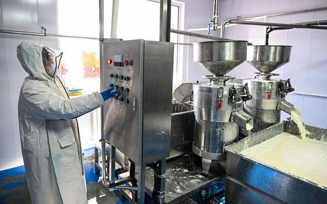 “小豆腐”做出“大產業” 豆制品加工的非凡躍遷