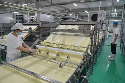 石家莊市欒城區大豆產業化發展助力鄉村振興——豆制品加工賦能農業新篇章