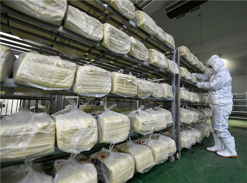 河北隆化 豆片飄香助農增收致富——《豆制品加工》特寫